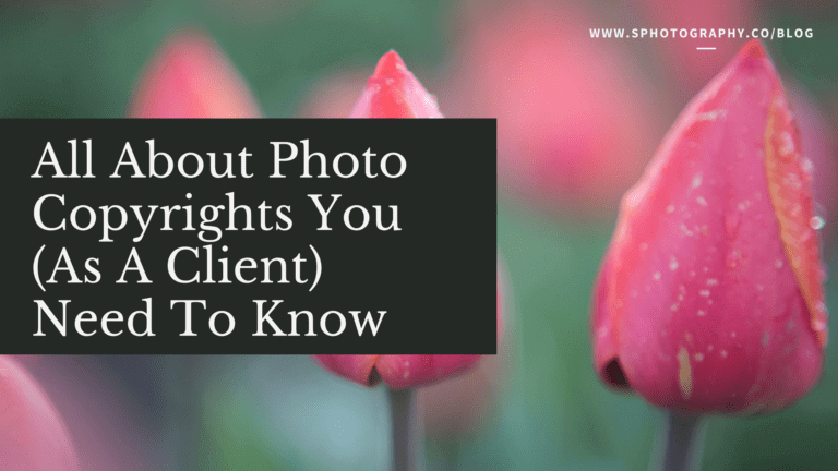 S Photography Blog All About Photo Copyrights You (As A Client) Need To Know