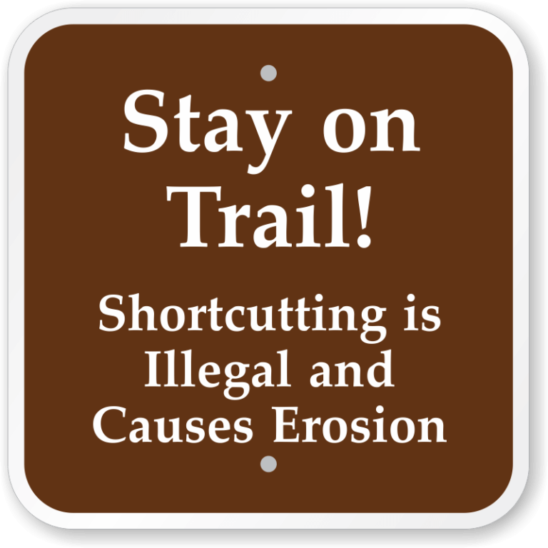How to Follow Leave No Trace Principles During Your Elopement