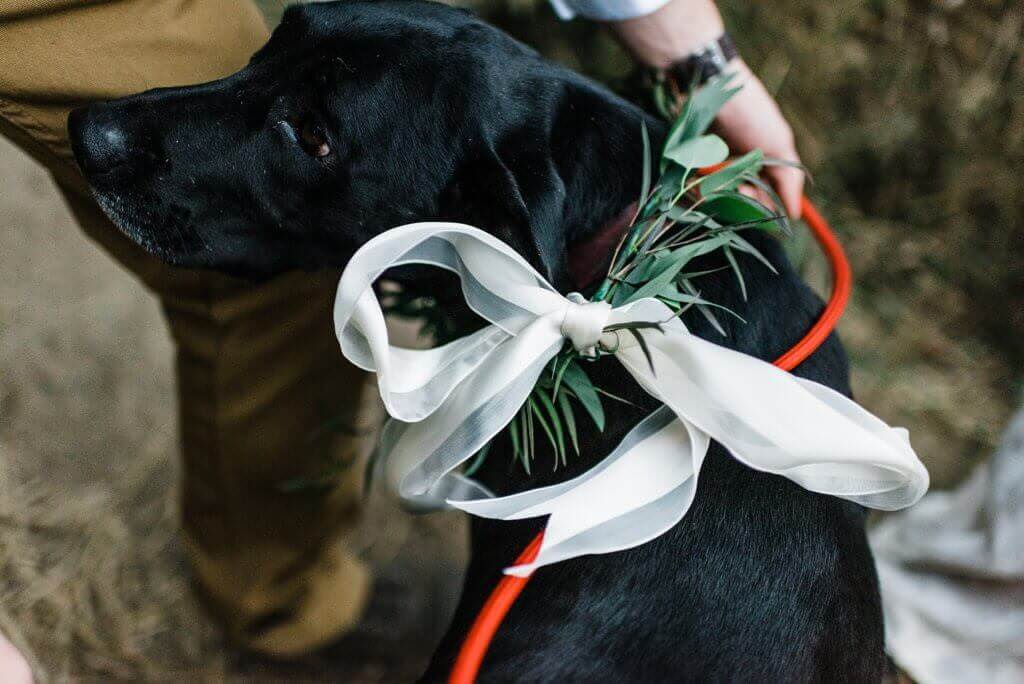 Samuel-H-Boardman-Oregon-Coast-Elopement-Adventure