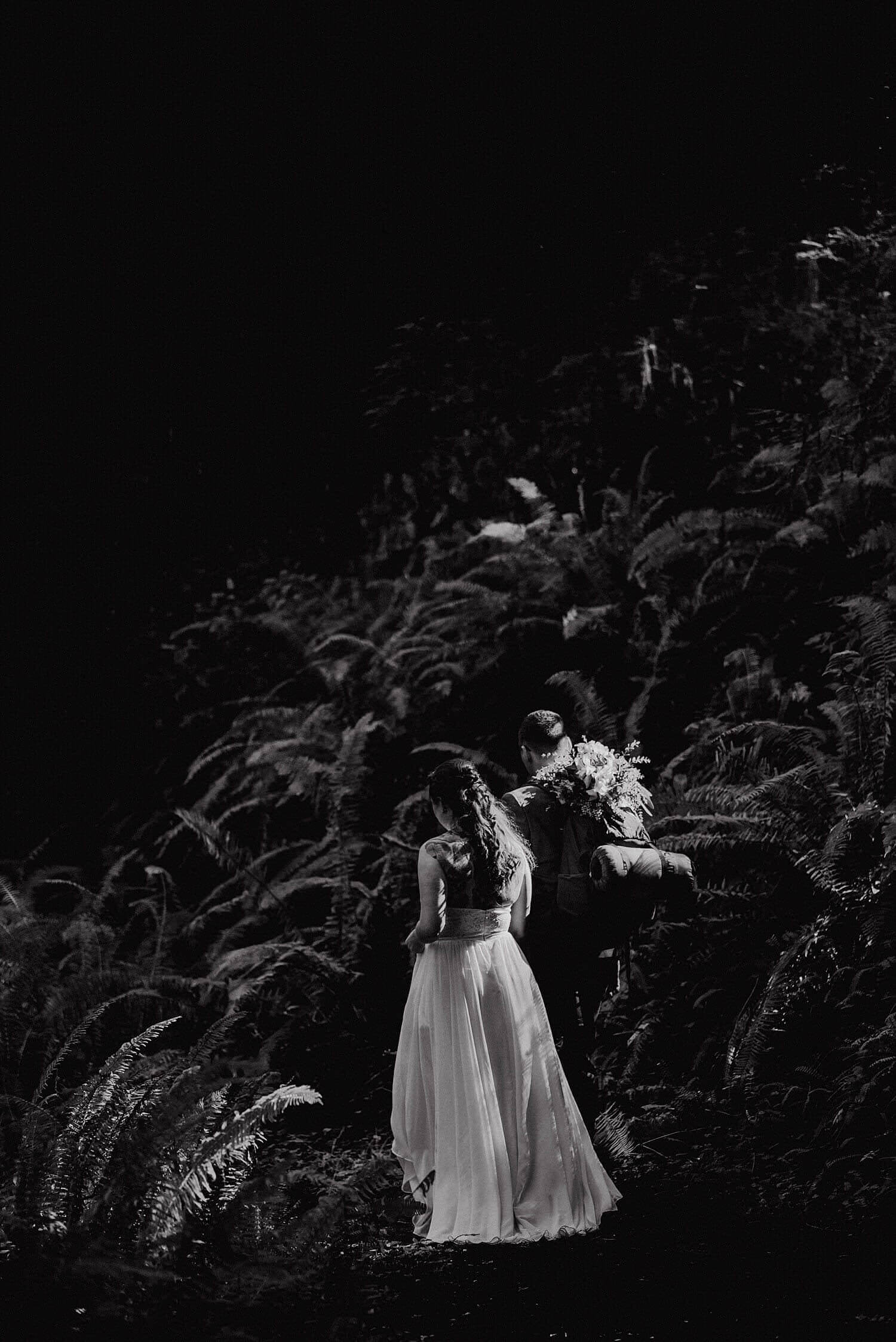 S Photography,avenue of the giants,california,elope,elopement,intimate wedding,jedediah smith,national park,norcal,prairie creek,redwoods,small wedding,state park,