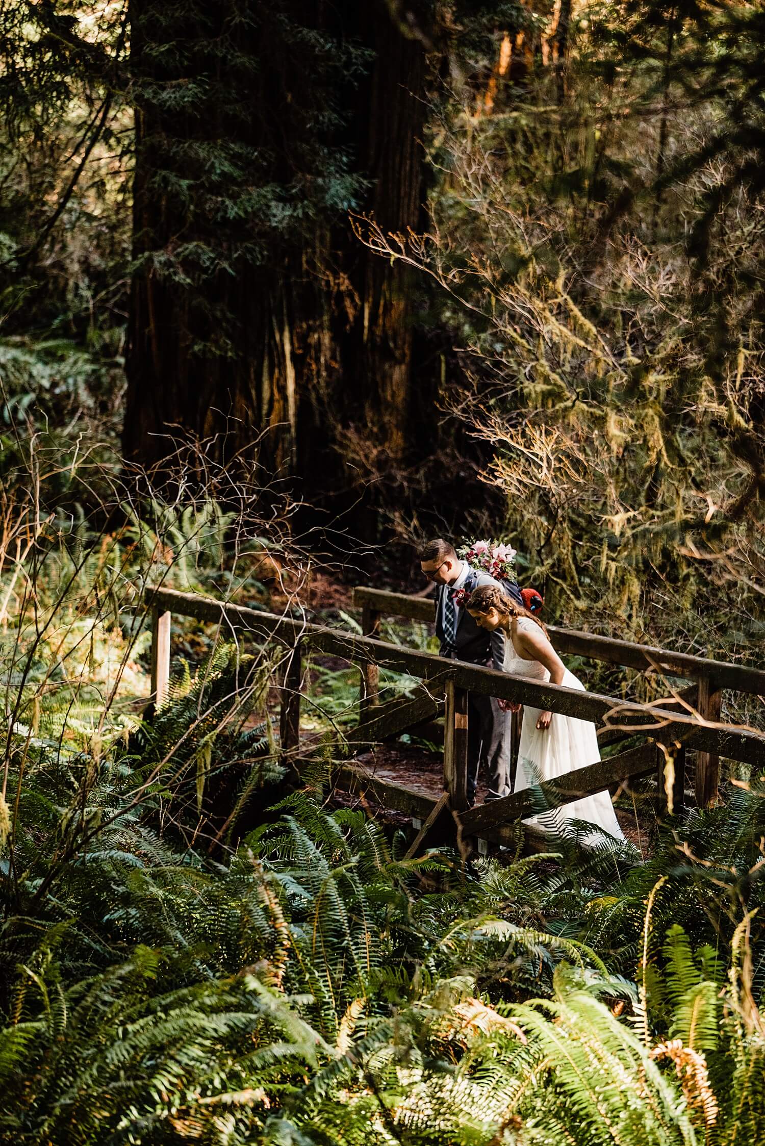 S Photography,avenue of the giants,california,elope,elopement,intimate wedding,jedediah smith,national park,norcal,prairie creek,redwoods,small wedding,state park,