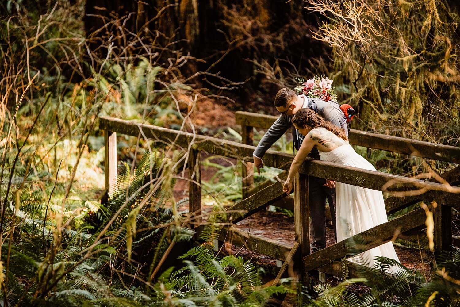 S Photography,avenue of the giants,california,elope,elopement,intimate wedding,jedediah smith,national park,norcal,prairie creek,redwoods,small wedding,state park,