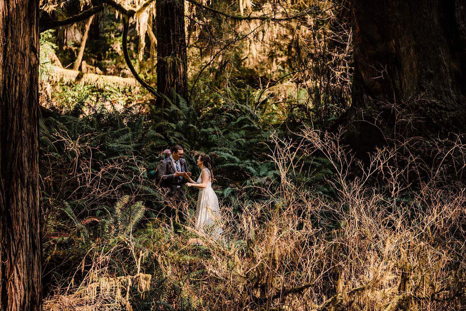 S Photography,avenue of the giants,california,elope,elopement,intimate wedding,jedediah smith,national park,norcal,prairie creek,redwoods,small wedding,state park,