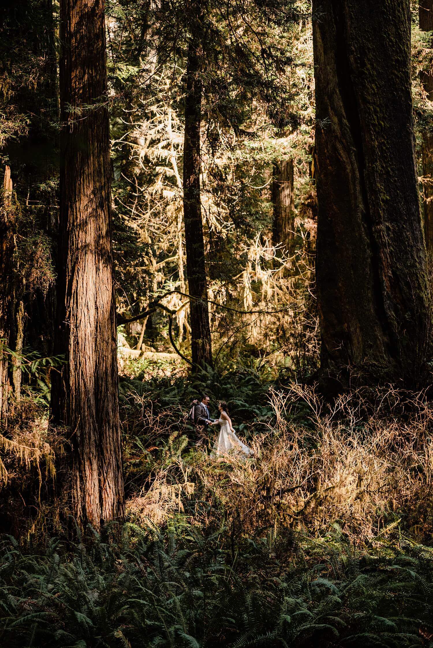 S Photography,avenue of the giants,california,elope,elopement,intimate wedding,jedediah smith,national park,norcal,prairie creek,redwoods,small wedding,state park,