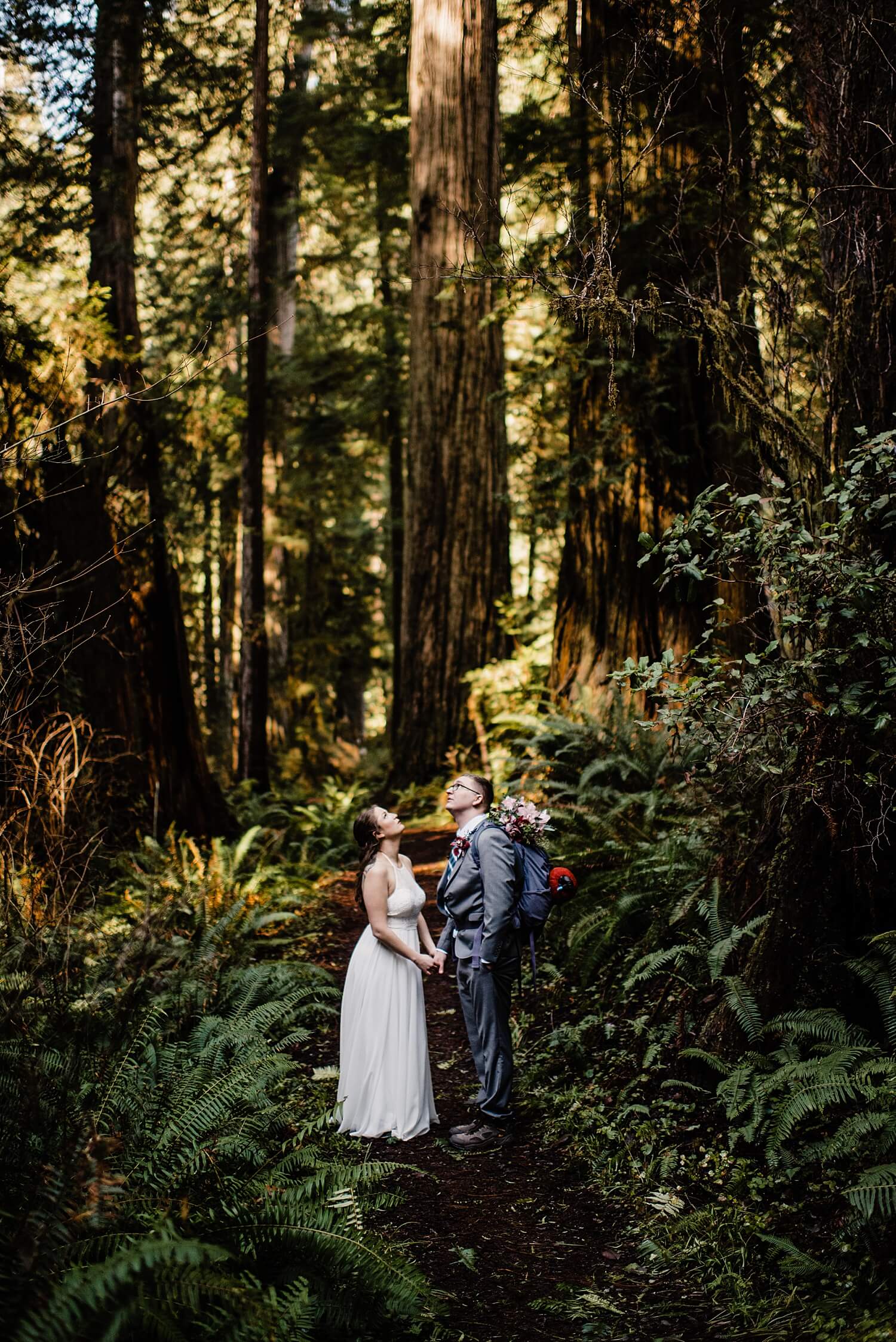 S Photography,avenue of the giants,california,elope,elopement,intimate wedding,jedediah smith,national park,norcal,prairie creek,redwoods,small wedding,state park,