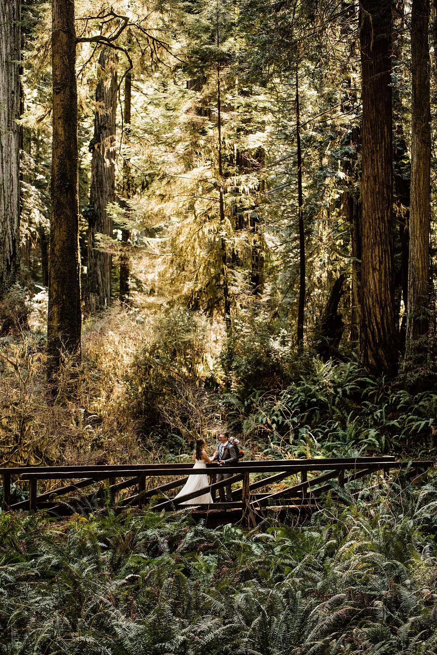 S Photography,avenue of the giants,california,elope,elopement,intimate wedding,jedediah smith,national park,norcal,prairie creek,redwoods,small wedding,state park,