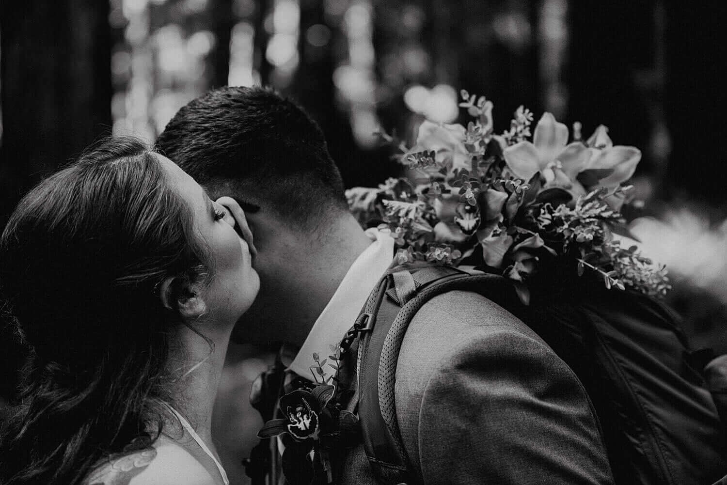 S Photography,avenue of the giants,california,elope,elopement,intimate wedding,jedediah smith,national park,norcal,prairie creek,redwoods,small wedding,state park,