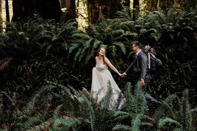 Redwoods Hiking Elopement