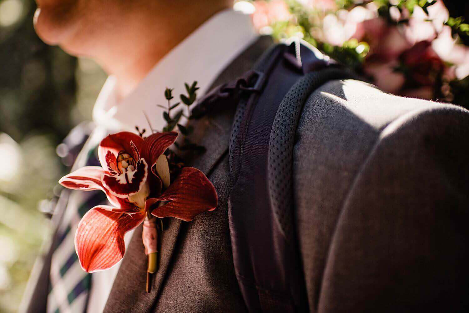 S Photography,avenue of the giants,california,elope,elopement,intimate wedding,jedediah smith,national park,norcal,prairie creek,redwoods,small wedding,state park,