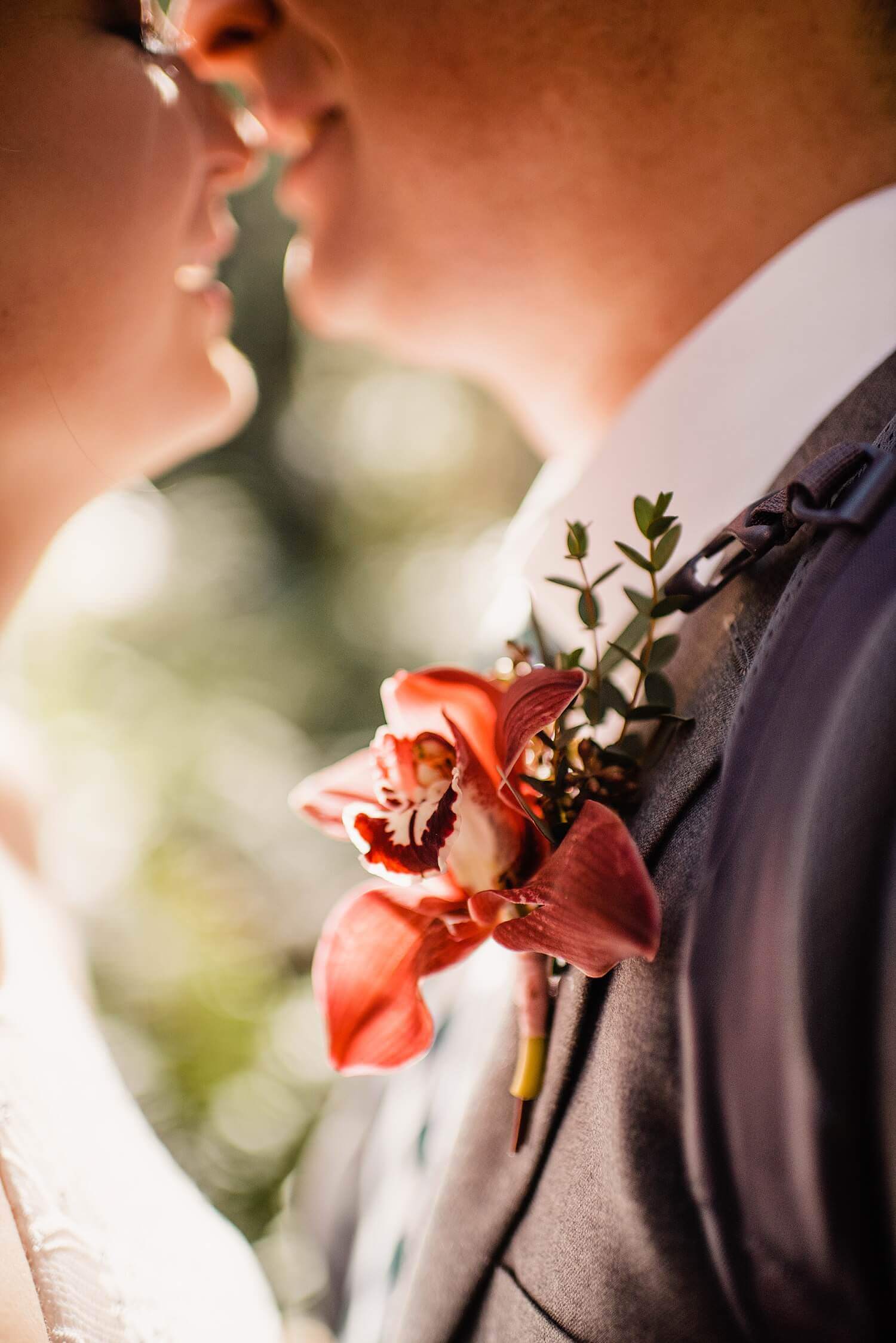 S Photography,avenue of the giants,california,elope,elopement,intimate wedding,jedediah smith,national park,norcal,prairie creek,redwoods,small wedding,state park,