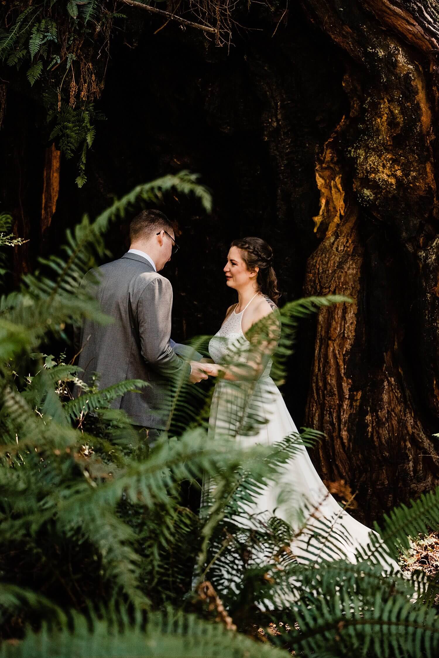 S Photography,avenue of the giants,california,elope,elopement,intimate wedding,jedediah smith,national park,norcal,prairie creek,redwoods,small wedding,state park,