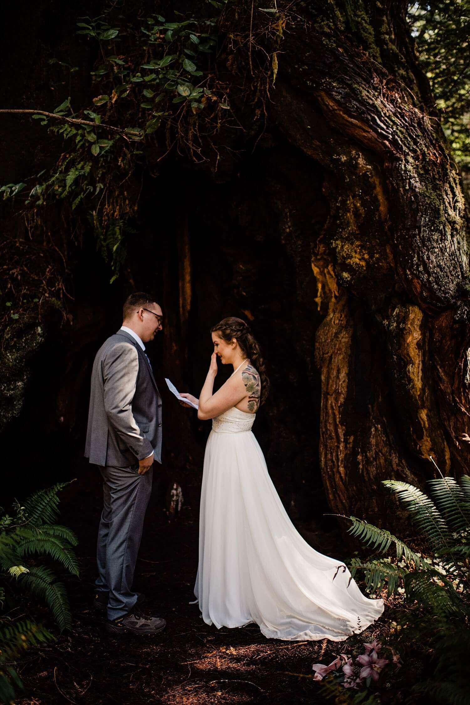 S Photography,avenue of the giants,california,elope,elopement,intimate wedding,jedediah smith,national park,norcal,prairie creek,redwoods,small wedding,state park,