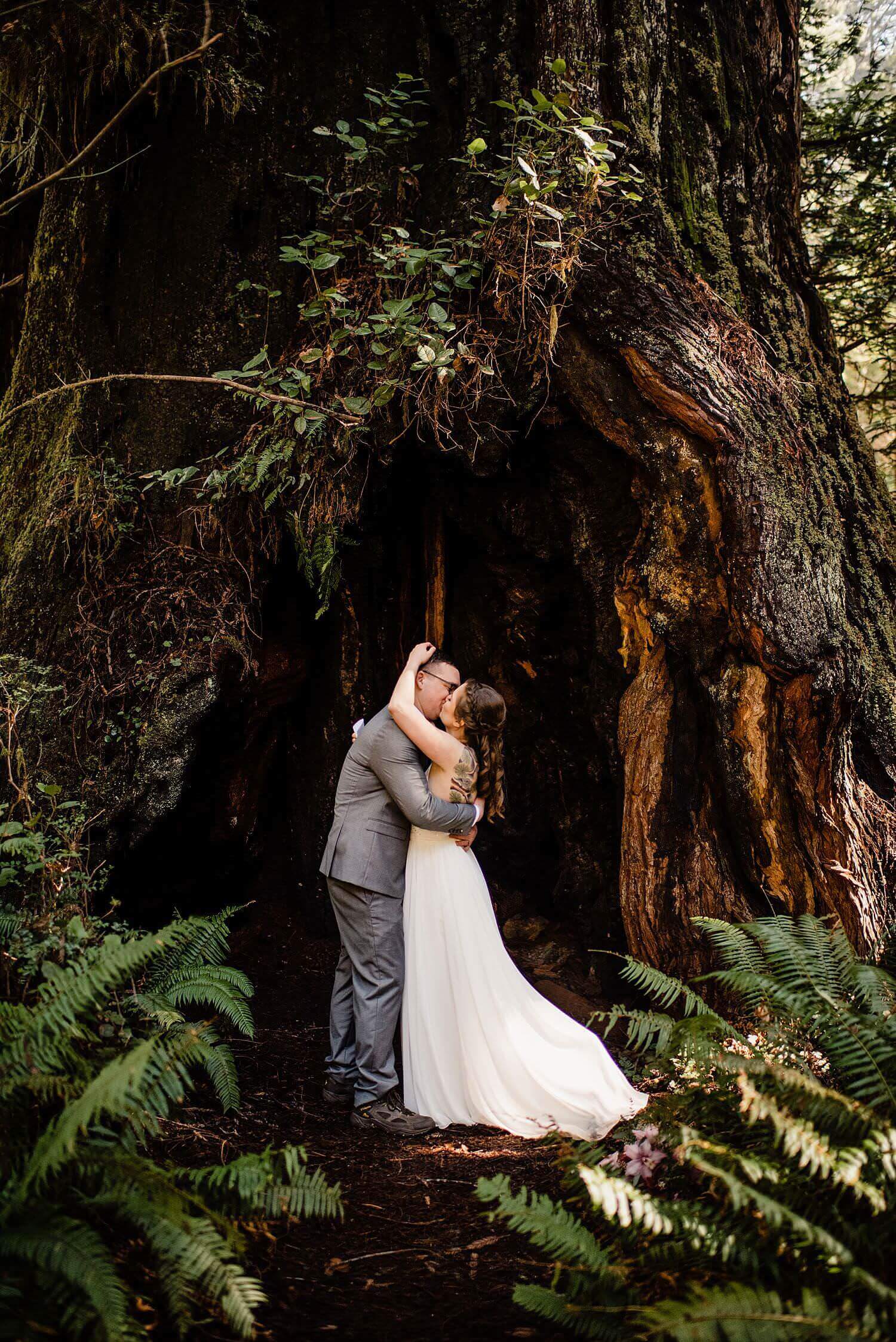 S Photography,avenue of the giants,california,elope,elopement,intimate wedding,jedediah smith,national park,norcal,prairie creek,redwoods,small wedding,state park,