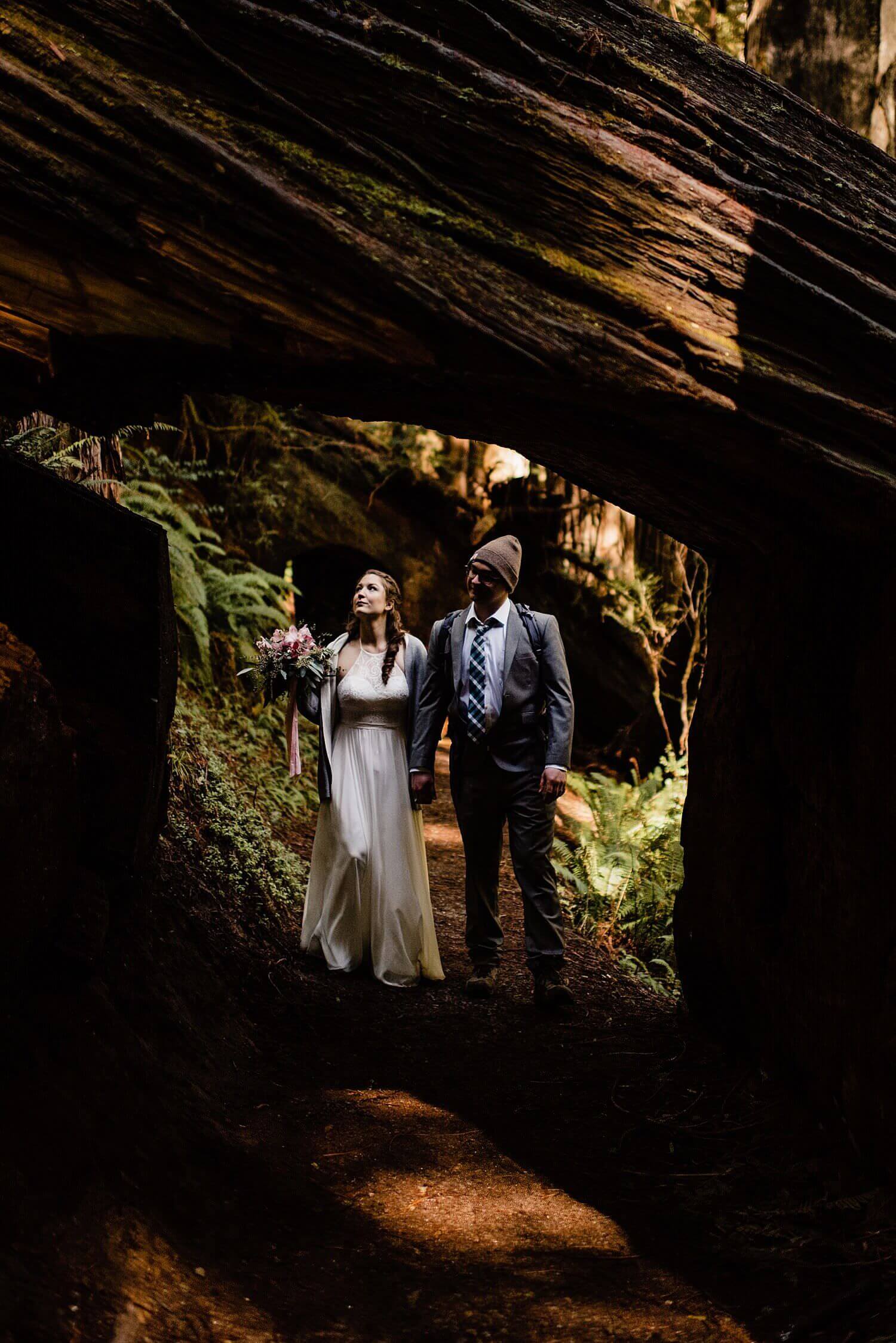 S Photography,avenue of the giants,california,elope,elopement,intimate wedding,jedediah smith,national park,norcal,prairie creek,redwoods,small wedding,state park,