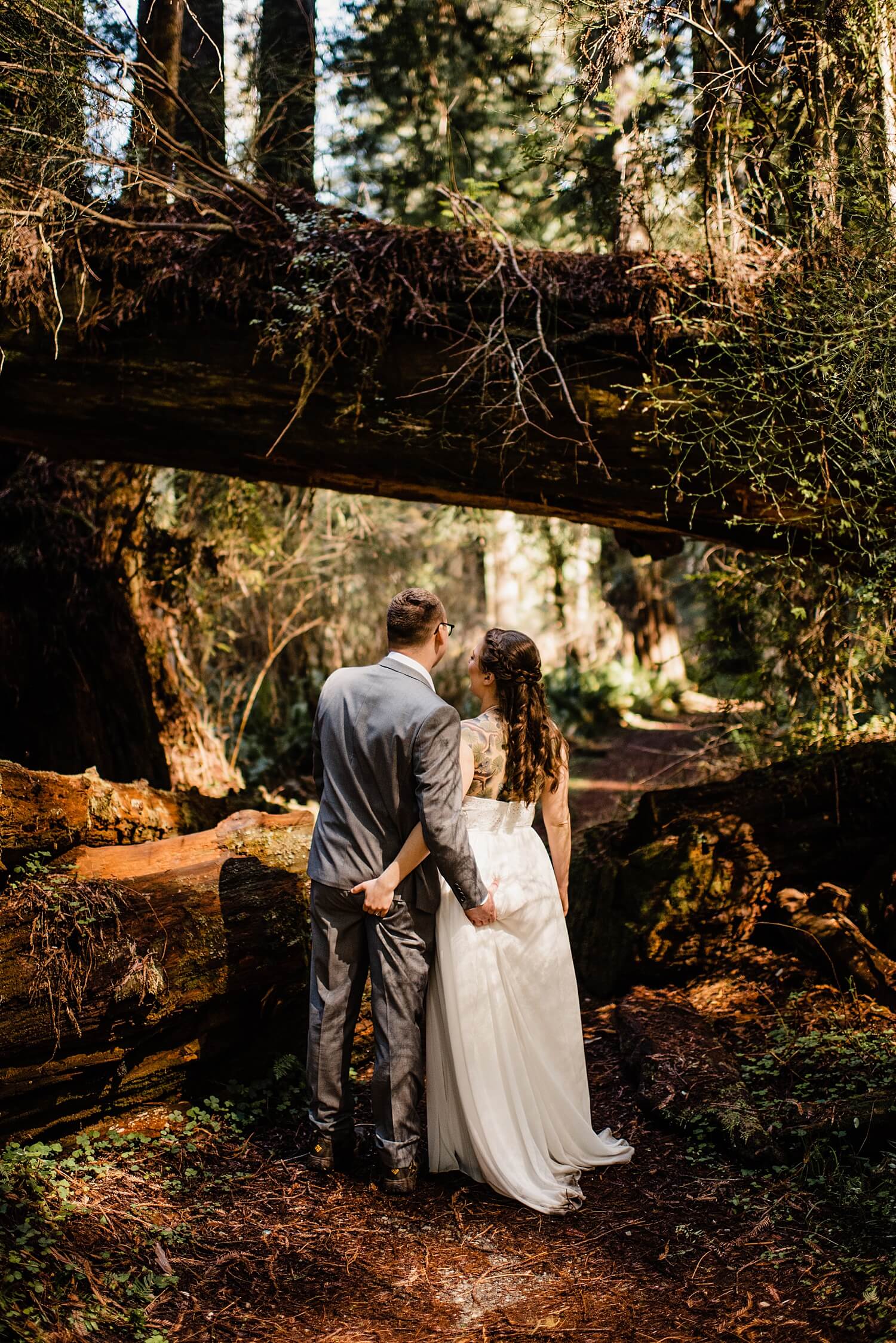 S Photography,avenue of the giants,california,elope,elopement,intimate wedding,jedediah smith,national park,norcal,prairie creek,redwoods,small wedding,state park,