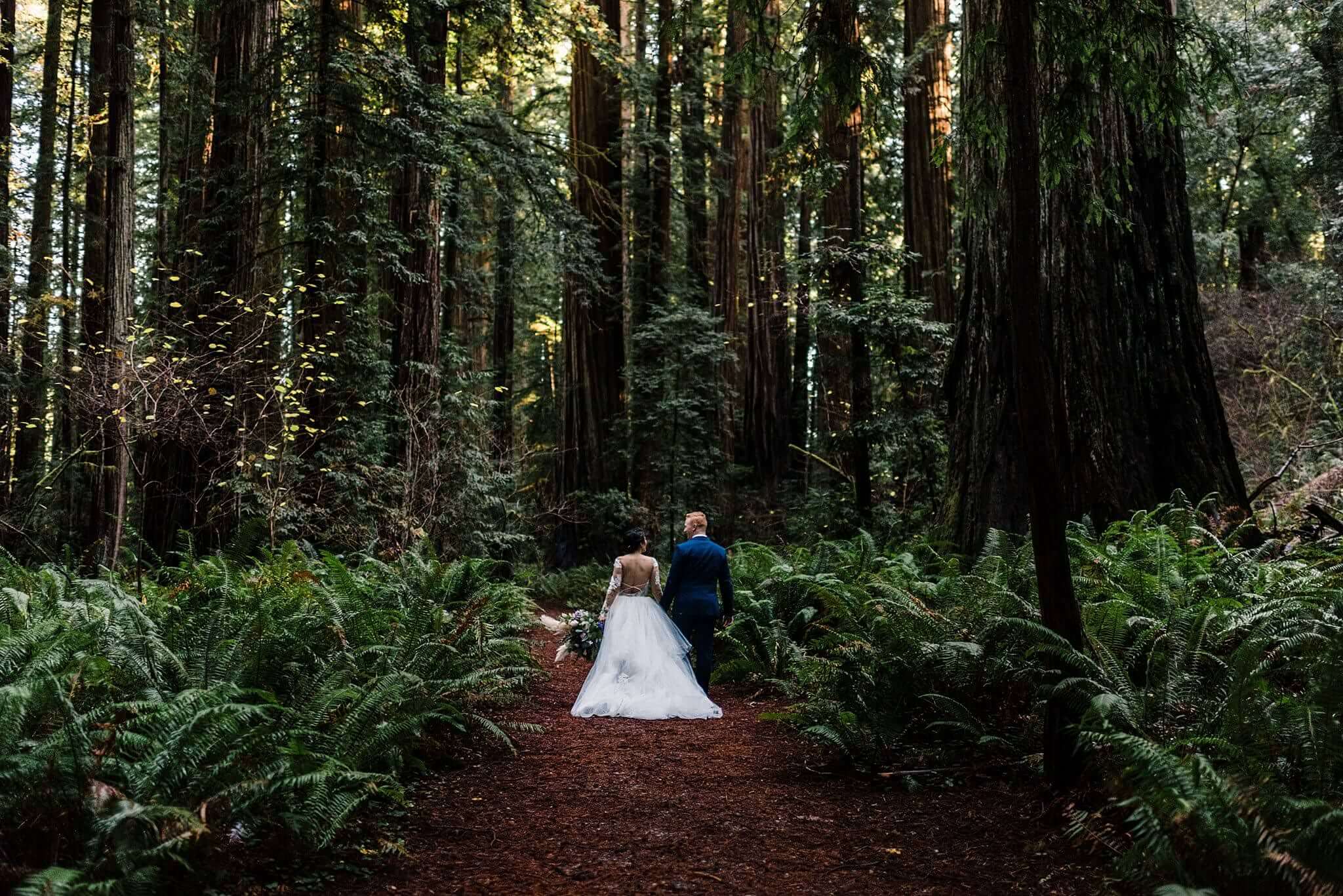 S Photography,adventure,adventure photographer,boho,elope,elopement,hayley paige,indie,jedediah smith,oregon,oregon coast,redwoods,roseburg,samuel h boardman,