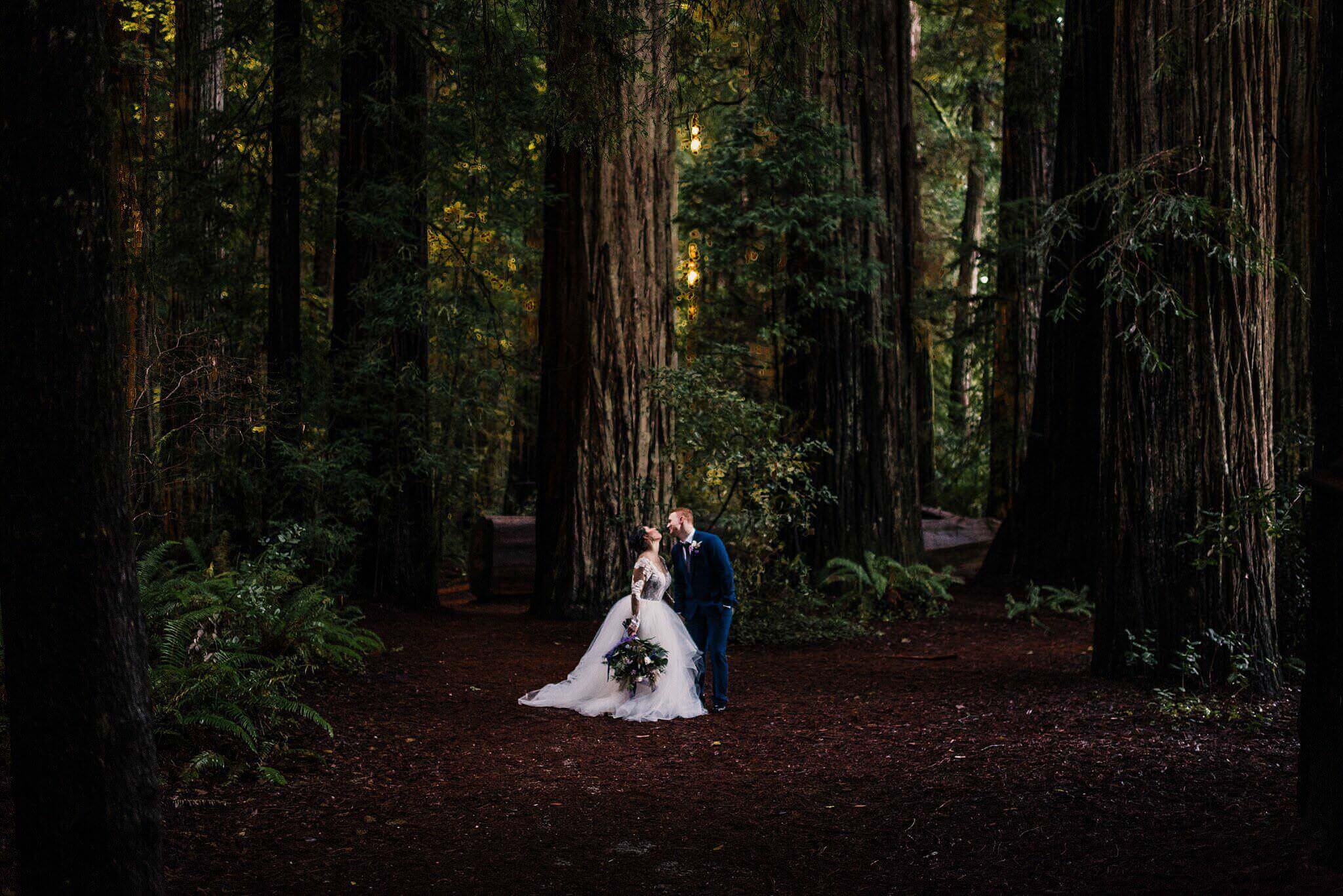 S Photography,adventure,adventure photographer,boho,elope,elopement,hayley paige,indie,jedediah smith,oregon,oregon coast,redwoods,roseburg,samuel h boardman,