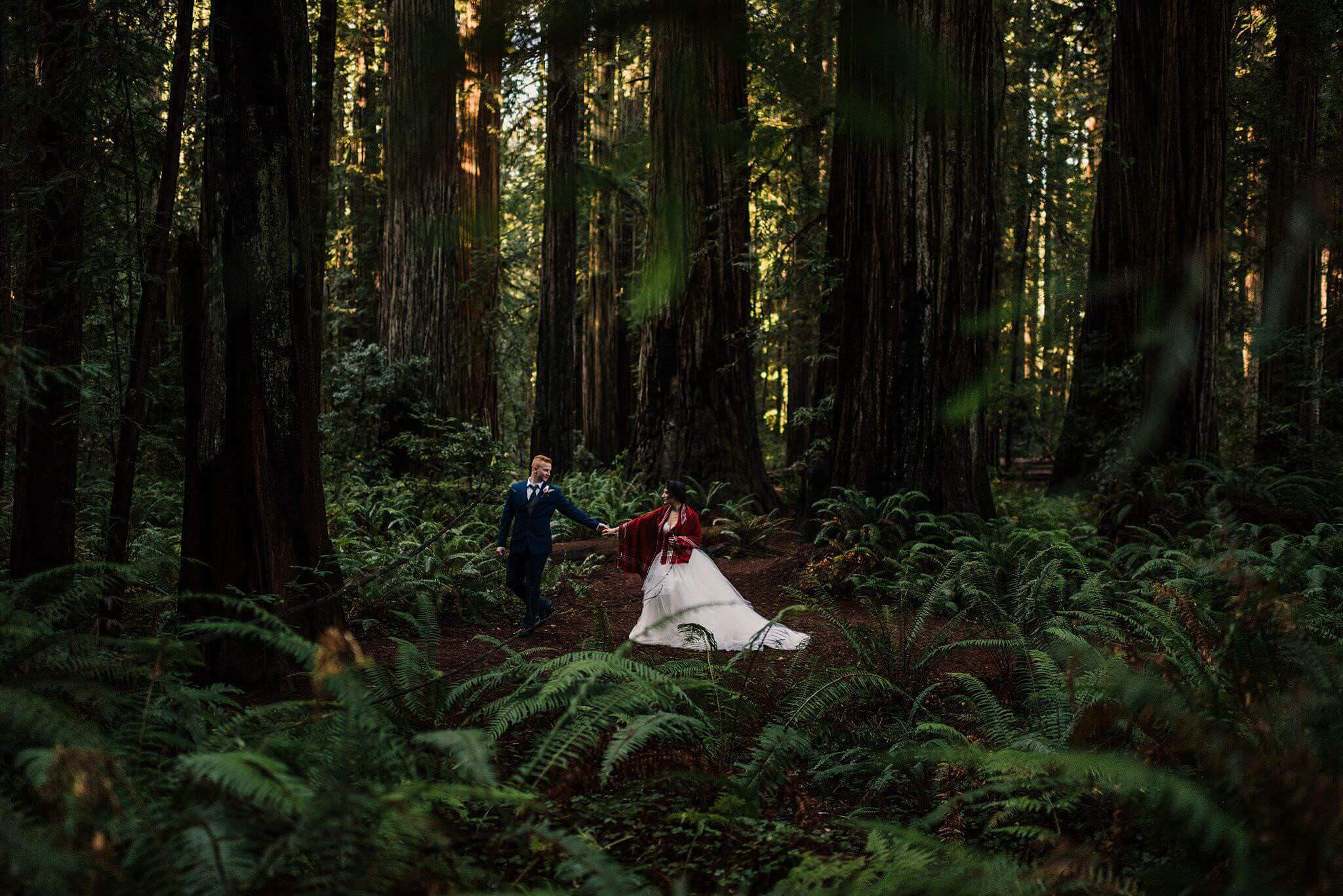 S Photography,adventure,adventure photographer,boho,elope,elopement,hayley paige,indie,jedediah smith,oregon,oregon coast,redwoods,roseburg,samuel h boardman,