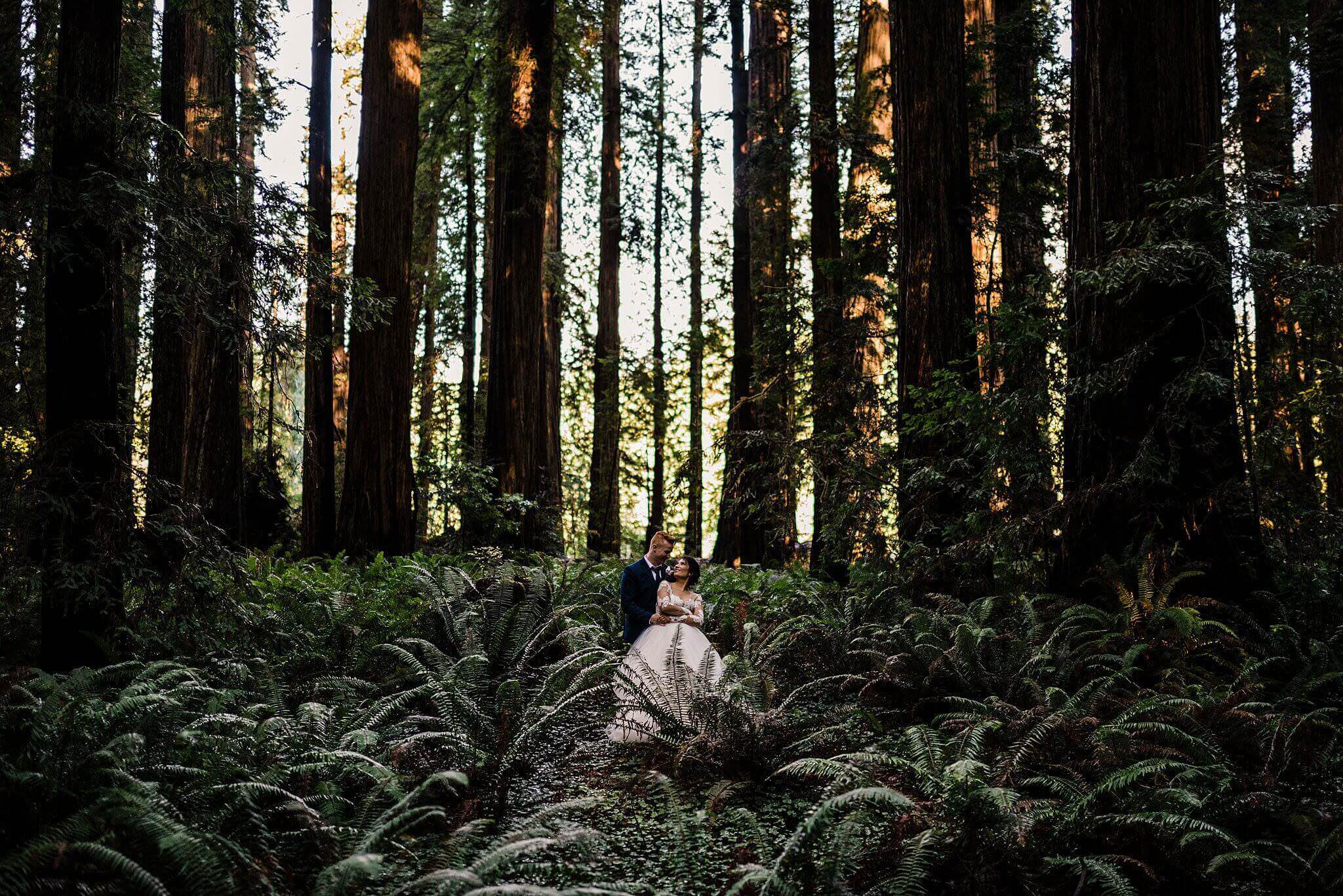 S Photography,adventure,adventure photographer,boho,elope,elopement,hayley paige,indie,jedediah smith,oregon,oregon coast,redwoods,roseburg,samuel h boardman,