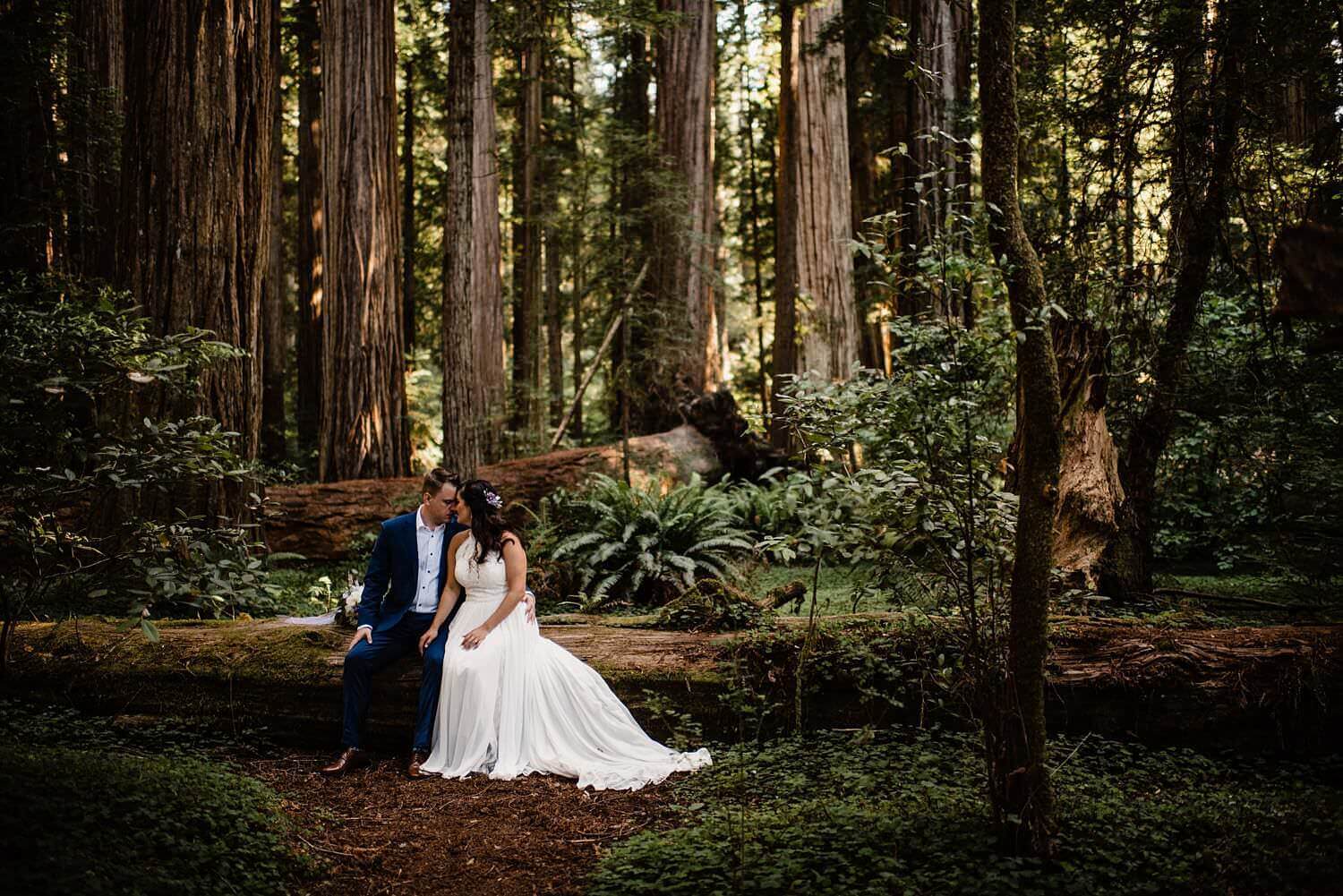 S Photography,adventure elopement photographer,adventure photographer,adventure session,brookings,california,destination wedding photographer,elope,elopement,glacier national park,intimate wedding,ireland elopement photographer,ireland wedding photographer,jedediah smith redwoods,moab,montana,mount rainier national park,national park photographer,oregon,oregon coast,oregon coast wedding,oregon wedding photographer,pacific northwest,redwoods elopement,samuel h boardman,scotland wedding photographer,small wedding,utah,washington,yosemite national park,