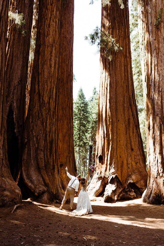Sequoia National Park elopement, fist pump