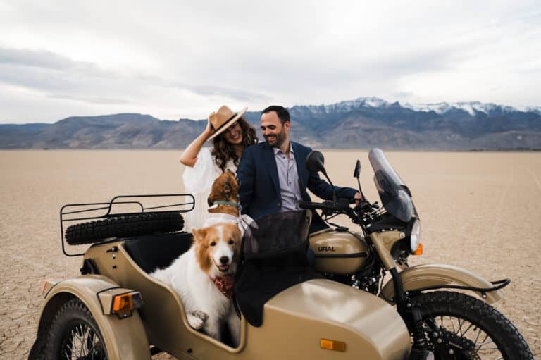 How to Include Pets in Your Wedding or Elopement if They Can’t be There