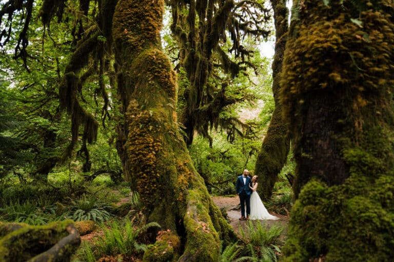 Magical May Elopement in Olympic National Park