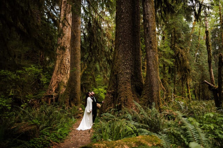 Suns, Moons & Crystals: An Olympic National Park Elopement