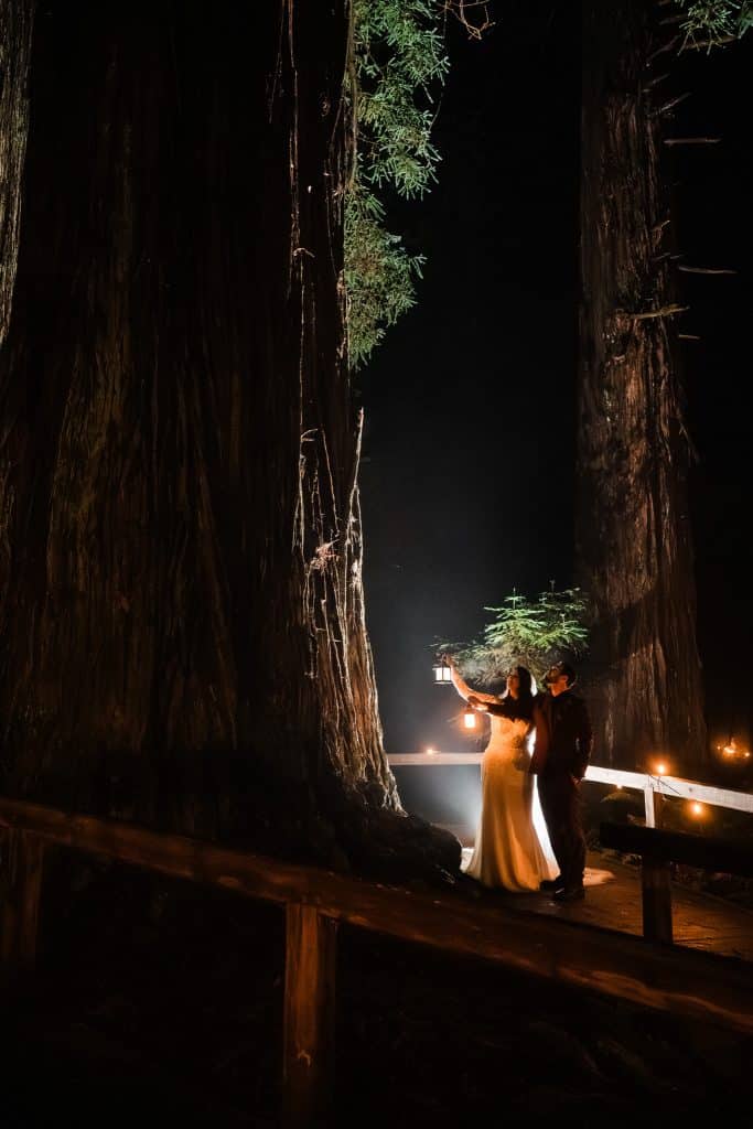 Redwoods Lantern Elopement Sequoia Park Zoo Skywalk Elopement 106 683x1024
