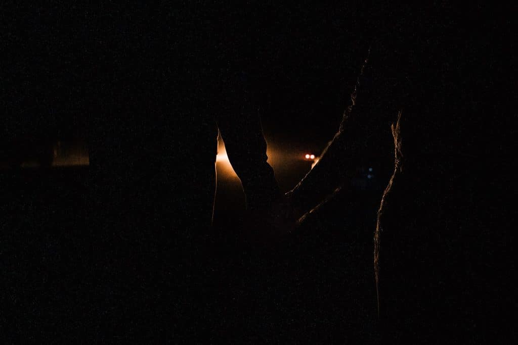 Redwoods Lantern Elopement Sequoia Park Zoo Skywalk Elopement 110 1024x683
