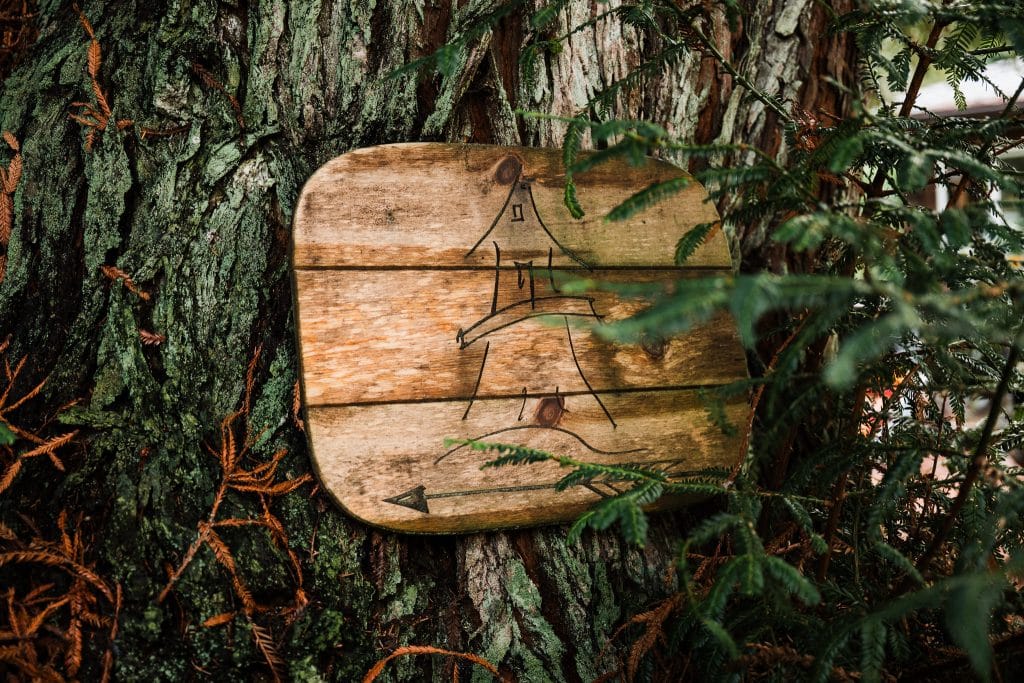 Redwoods Lantern Elopement Sequoia Park Zoo Skywalk Elopement 2 1024x683