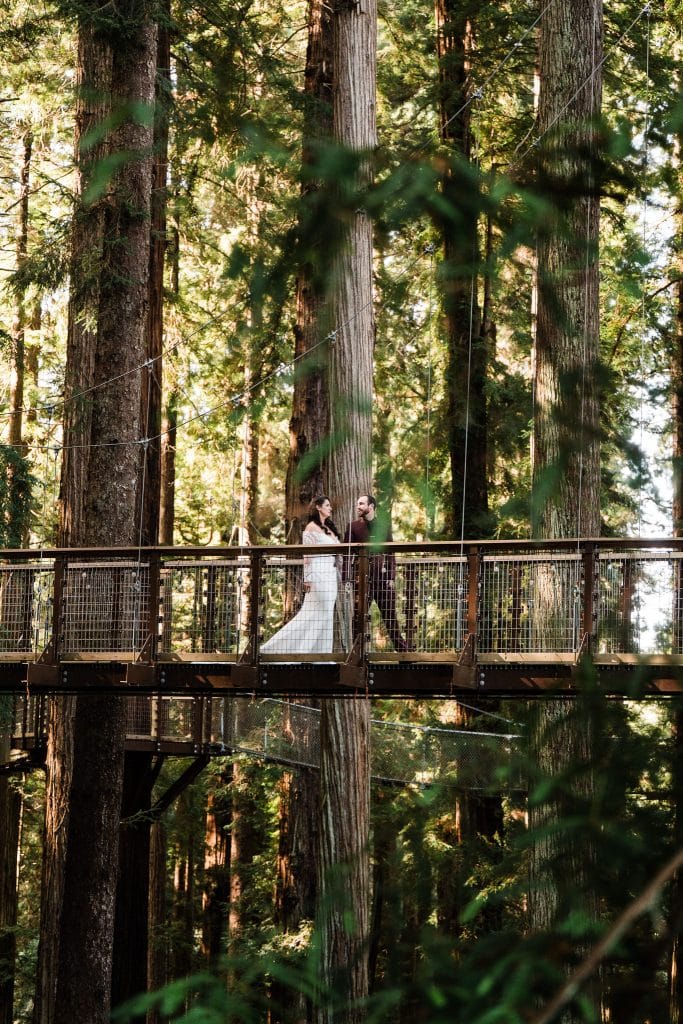 Redwoods Lantern Elopement Sequoia Park Zoo Skywalk Elopement 46 683x1024
