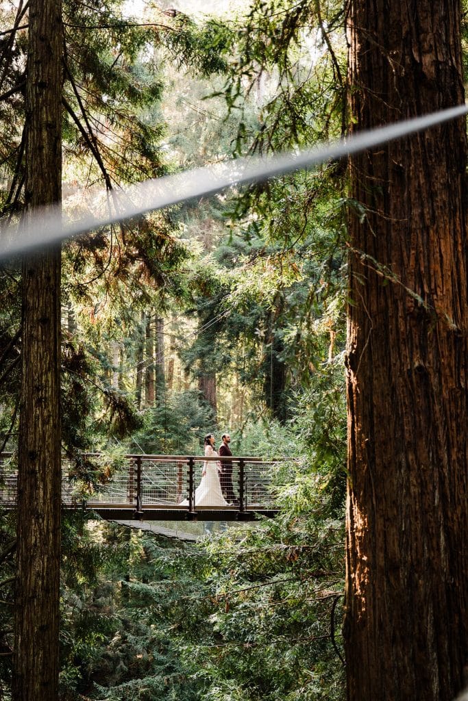Redwoods Lantern Elopement Sequoia Park Zoo Skywalk Elopement 59 683x1024