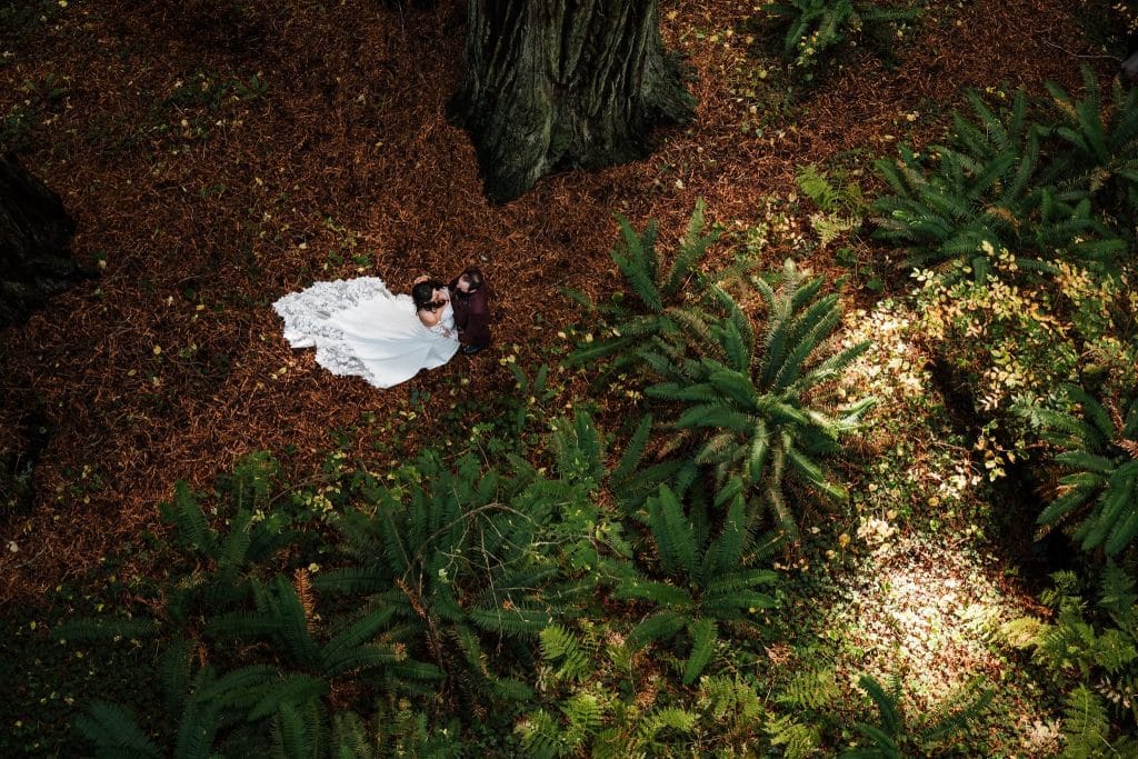 Redwoods Lantern Elopement Sequoia Park Zoo Skywalk Elopement 62 1024x683