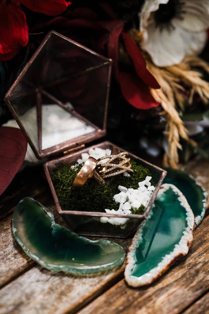Redwoods Lantern Elopement Sequoia Park Zoo Skywalk Elopement 8 683x1024