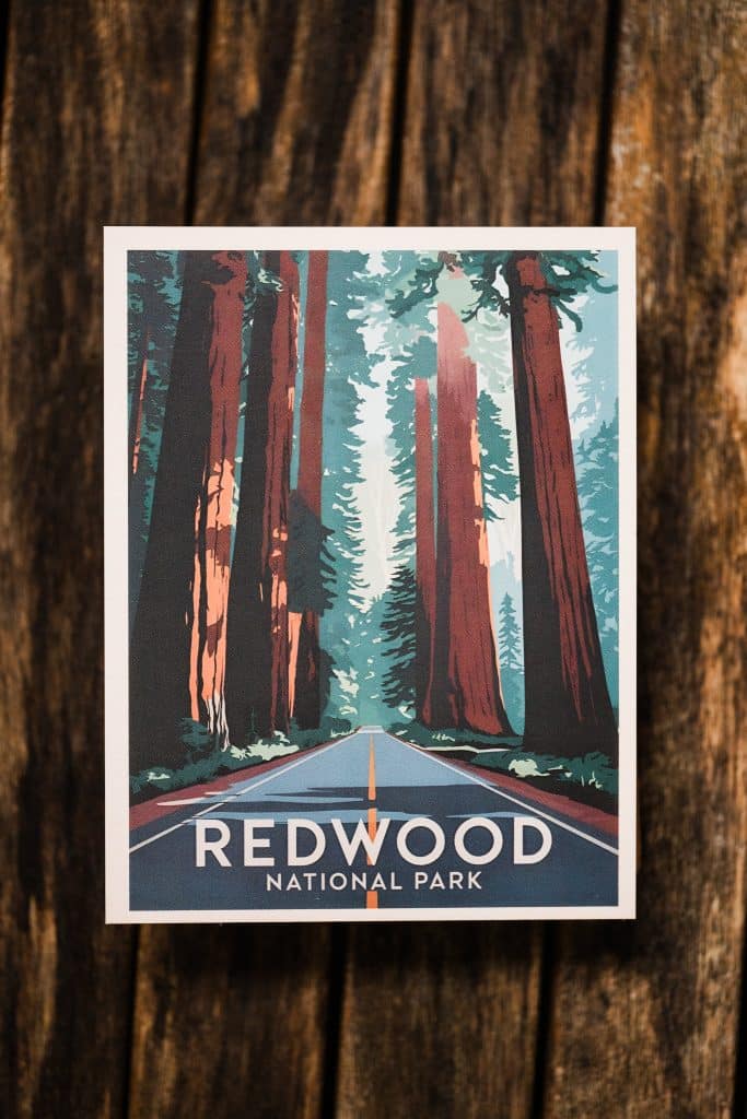 Redwoods Lantern Elopement Sequoia Park Zoo Skywalk Elopement 9 683x1024