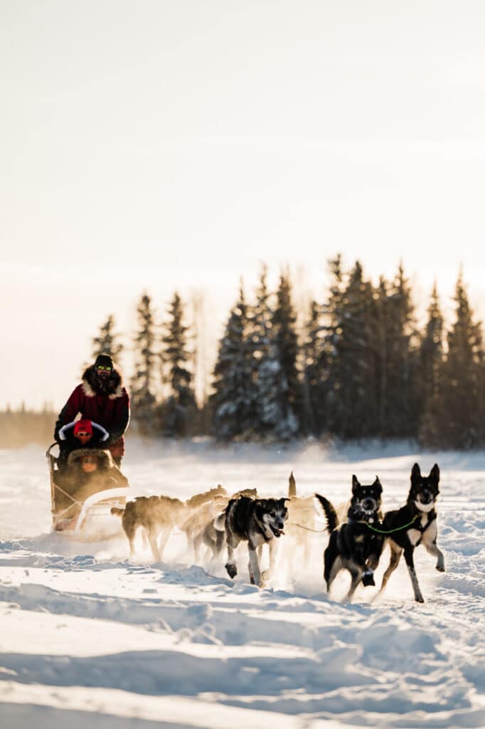 Winter Fairbanks Alaska Elopement Highlights WEB 88 682x1024
