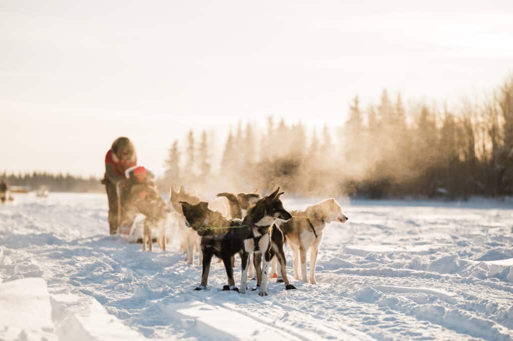 Winter Fairbanks Alaska Elopement Highlights WEB 91 1024x682