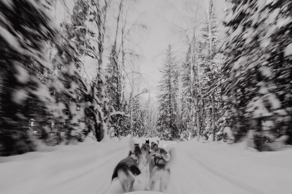 Winter Fairbanks Alaska Elopement Highlights WEB 95 1024x682