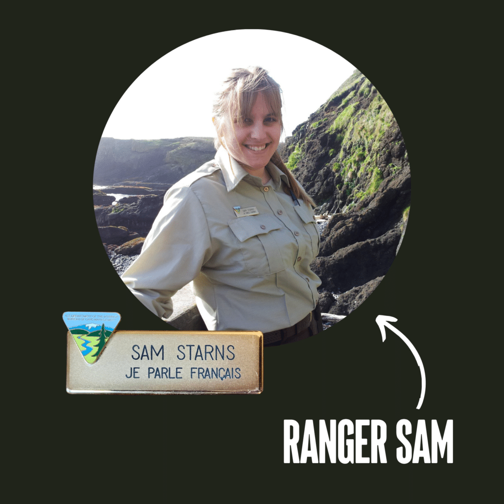 RANGER SAM Transparent Square Upgraded 1024x1024